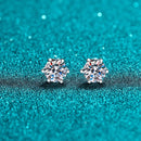 <tc>Kristalglans Oorbellen</tc>