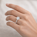 <tc>Ring Lichtkrans – Tijdloze schittering

</tc>