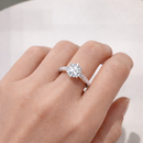 <tc>Ring Lichtkrans – Tijdloze schittering

</tc>