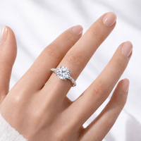 <tc>Ring Lichtkrans – Tijdloze schittering

</tc>