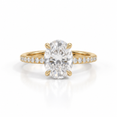 Imperial Ring — A Radiance of Infinite Delicacy